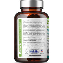 Load image into Gallery viewer, biophix Nicotinamide Pantothenate 1350 mg 120 Vegetarian Capsules